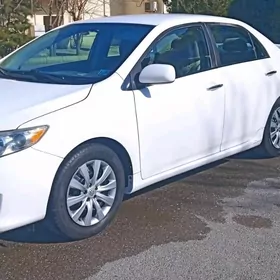 Toyota Corolla 2009