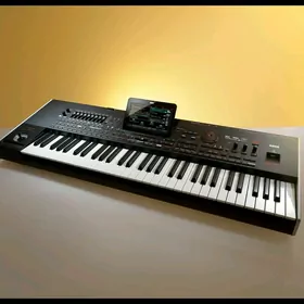 Korg Pa4x Oreintal