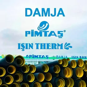 Damja Isin Pimtas