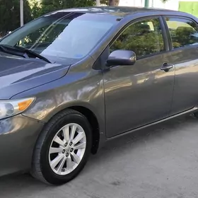 Toyota Corolla 2011