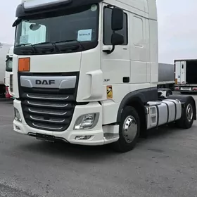 DAF 480 2019