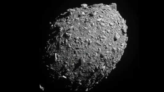 Asteroid diýlip hasaplanan asman jisimi Ilon Maskyň awtoulagy bolup çykdy