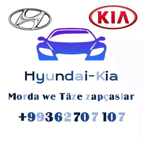 Hyundai/Kia