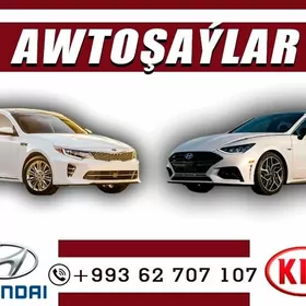 Hyundai/Kia Bamper