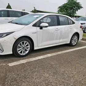 Toyota Corolla 2024