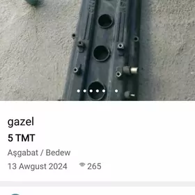 gazel