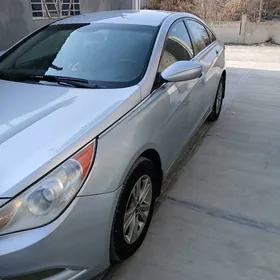 Hyundai Sonata 2010