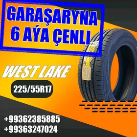 📢Teker🛑 West Lake 225/55R17