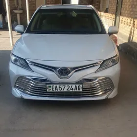 Toyota Camry 2019