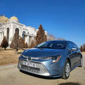 Toyota Corolla 2019