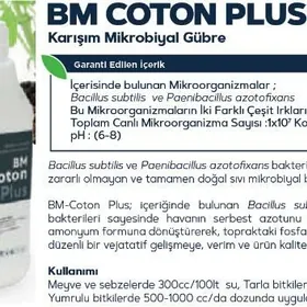 BM COTON PLUS