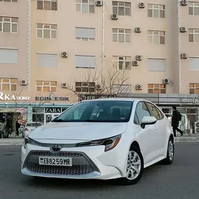 Toyota Corolla 2019