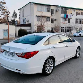 Hyundai Sonata 2010