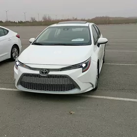 Toyota Corolla 2020