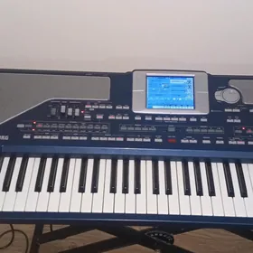 korg pa 800 Gyssagly