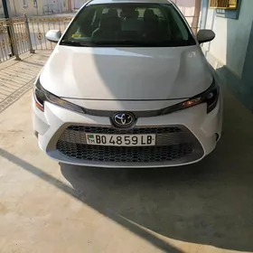 Toyota Corolla 2021