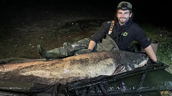 Beýik Britaniýanyň taryhynda iň uly lakga balygy tutuldy. Uzynlygy 2,4 metr