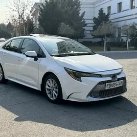 Toyota Corolla 2020