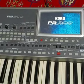 Korg Pa 900 ritmblok