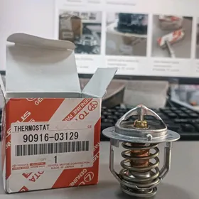 TÄZE ORGINAL TERMOSTAT