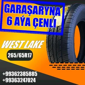 GARAŞARYNA Teker 265/65R17