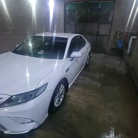 Toyota Camry 2019