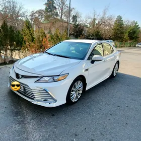 Toyota Camry 2020