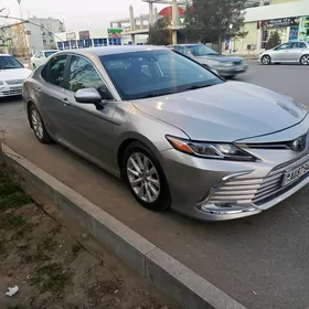 Toyota Camry 2019