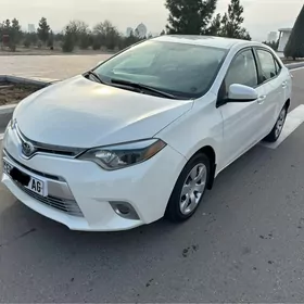 Toyota Corolla 2014