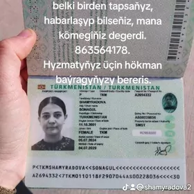 Zagrannyý pasport ýitdi