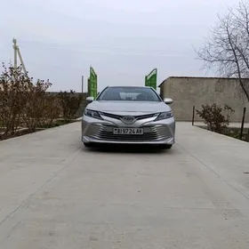 Toyota Camry 2019