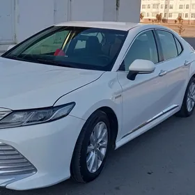 Toyota Camry 2019