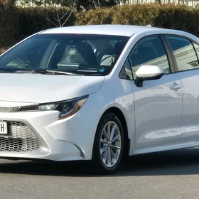 Toyota Corolla 2020