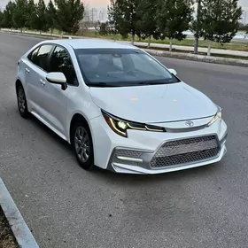 Toyota Corolla 2020