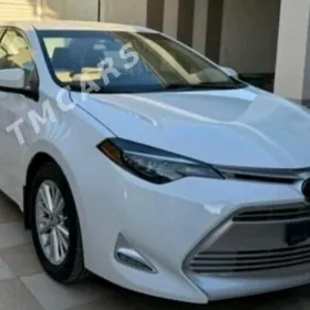 Toyota Corolla 2019