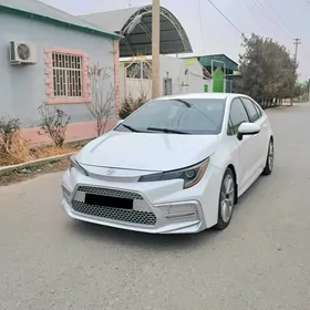 Toyota Corolla 2020