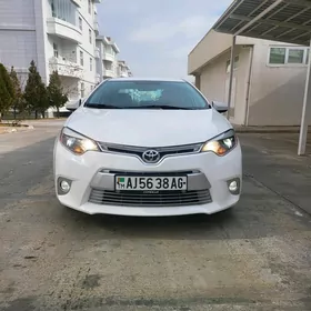 Toyota Corolla 2014