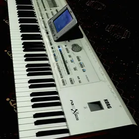 KORG PA2Xpro