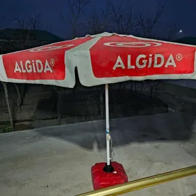 Zontik algida in ulisi