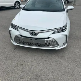 Toyota Corolla 2024