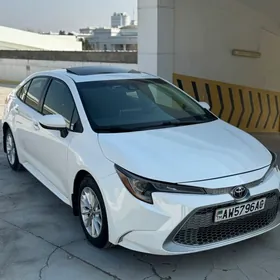 Toyota Corolla 2019