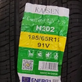 Kapsen 195 65 15 H202