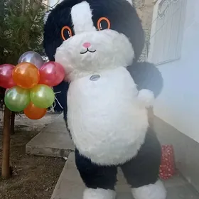 Mişka/Pişik
