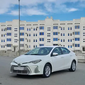 Toyota Corolla 2016