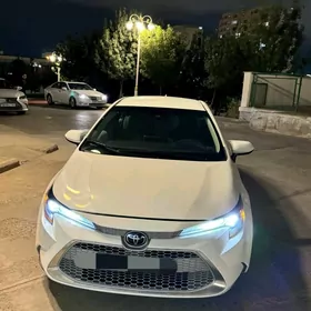 Toyota Corolla 2019