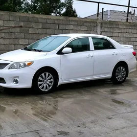 Toyota Corolla 2012