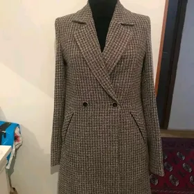 pijak seryy renkde