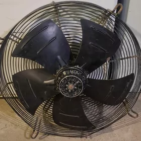 fan фан