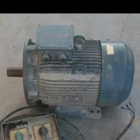 elektre dwitil