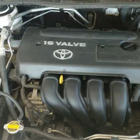 Toyota Corolla 2009